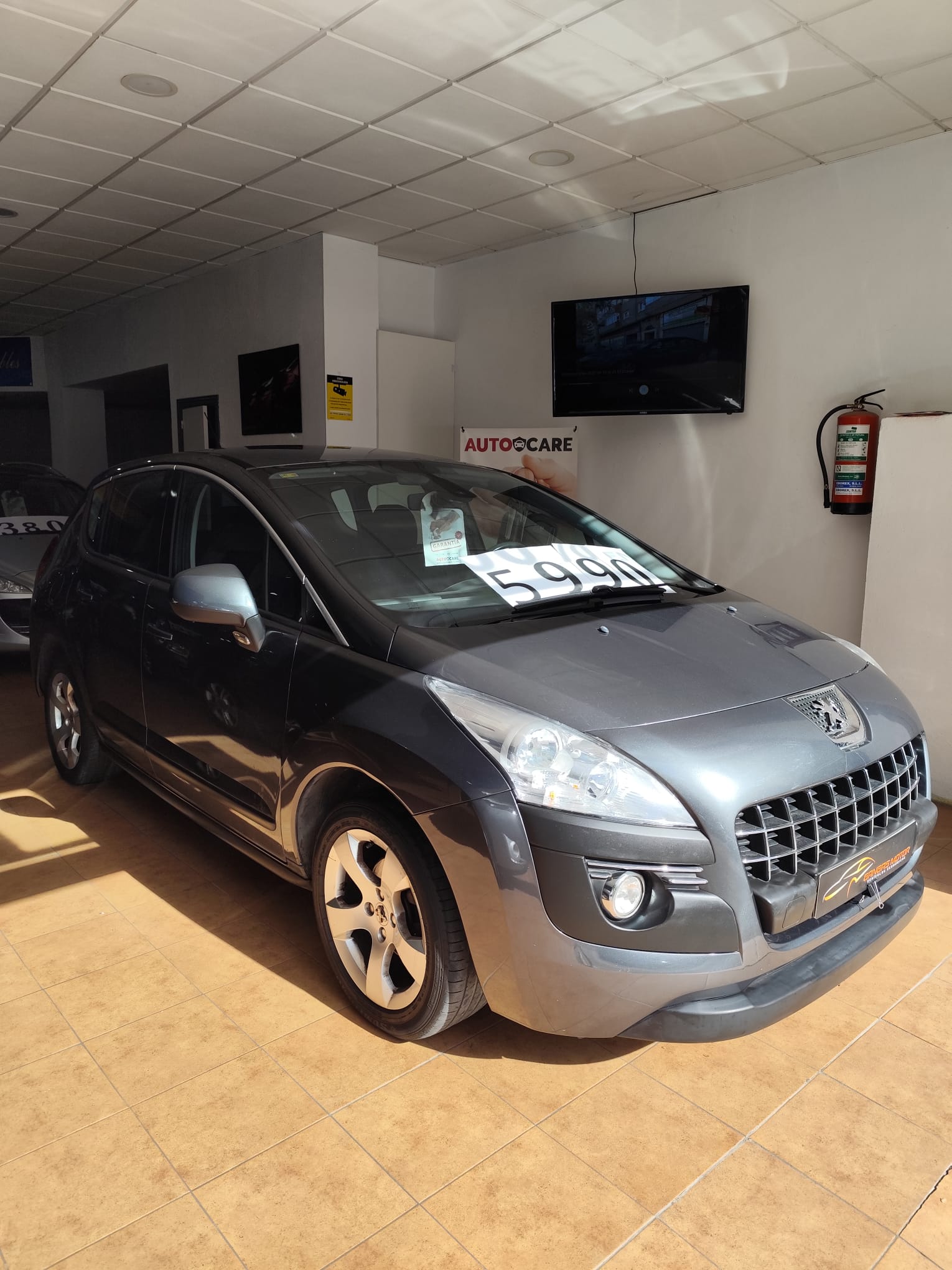 WhatsApp Image 2025-10-15 at 19.58.43