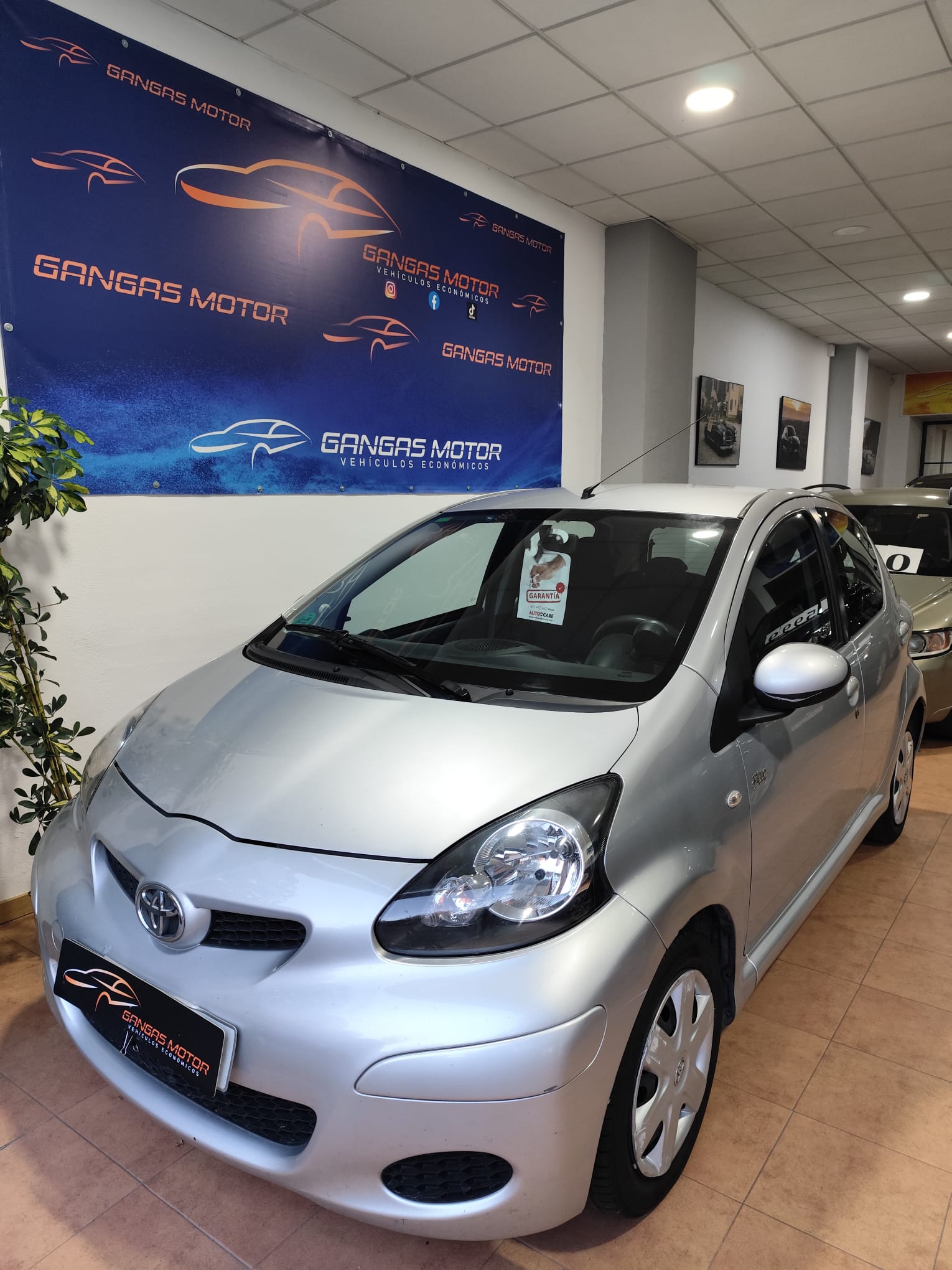 WhatsApp Image 2025-11-25 at 18.36.59