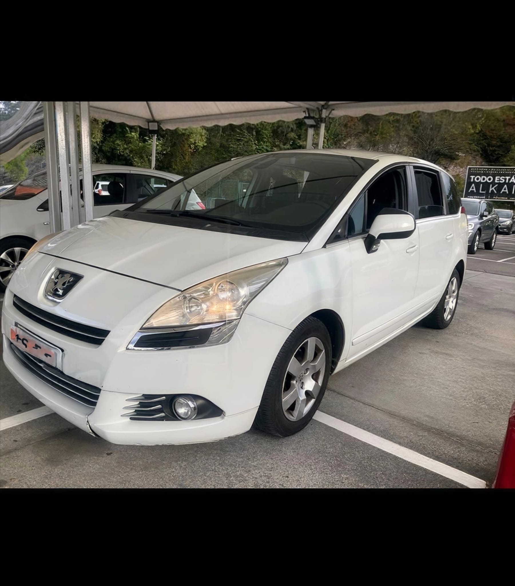 WhatsApp Image 2025-11-25 at 19.32.34