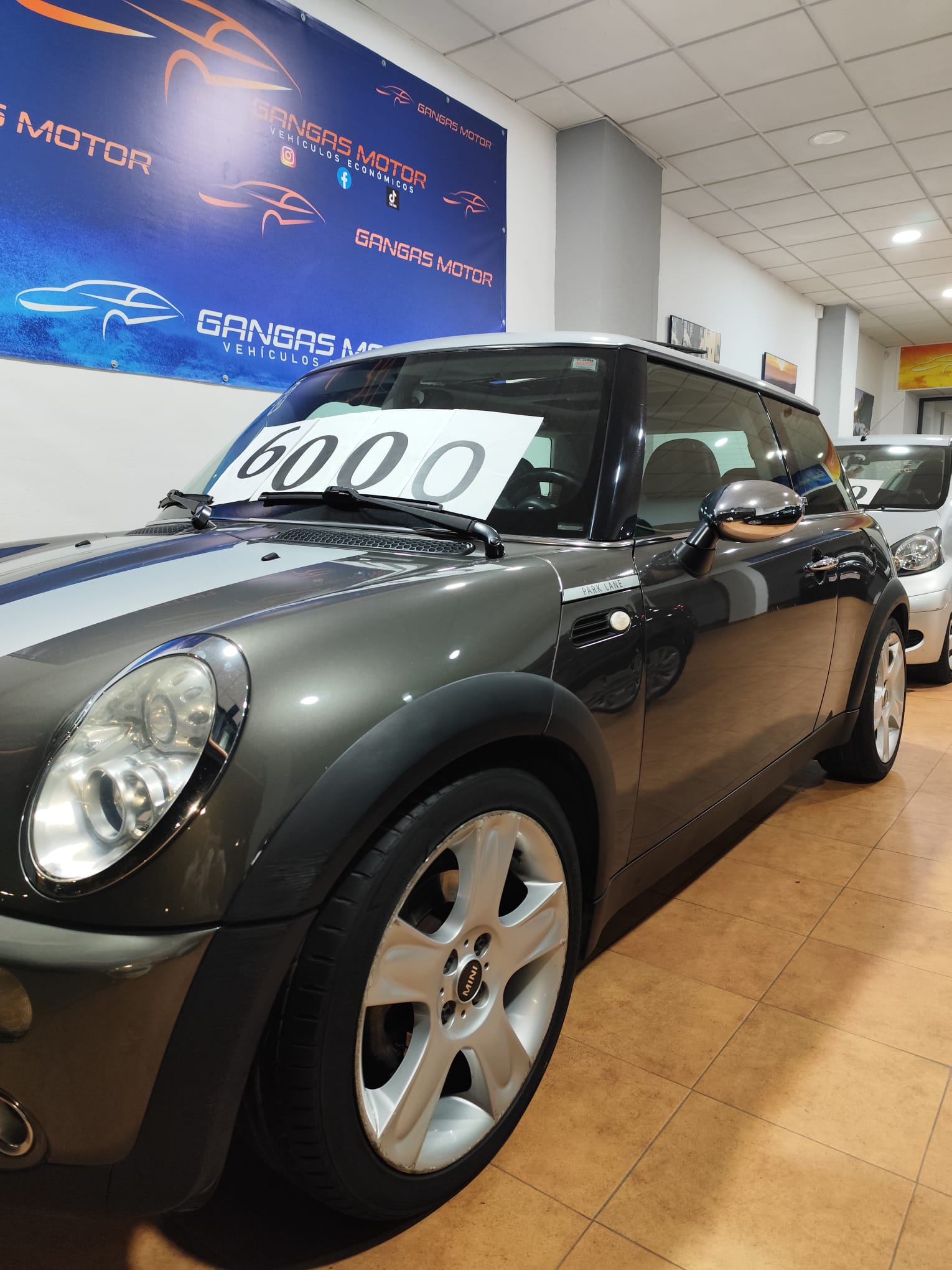 WhatsApp Image 2025-12-12 at 13.23.41 (1)