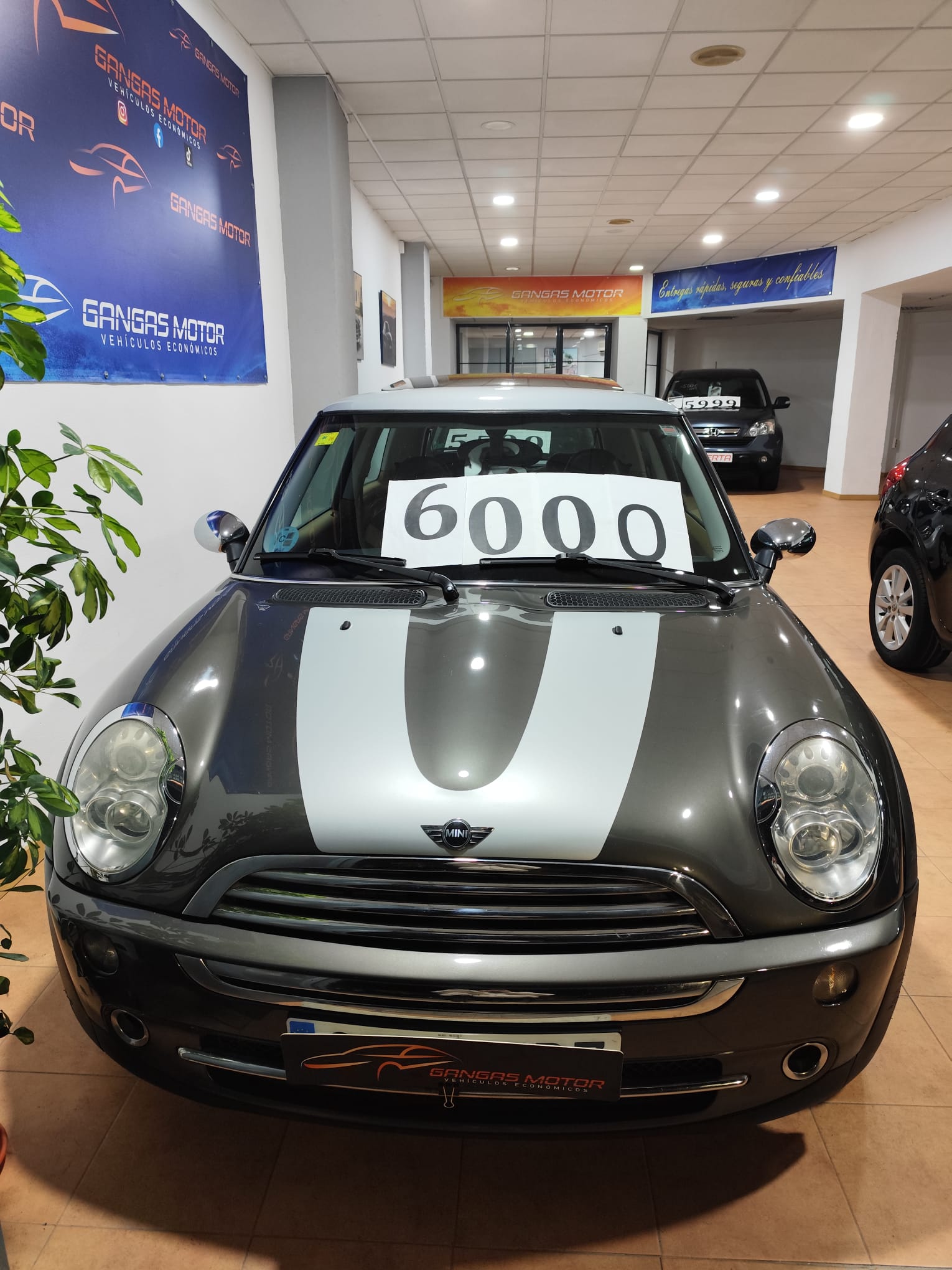 WhatsApp Image 2025-12-12 at 13.23.41