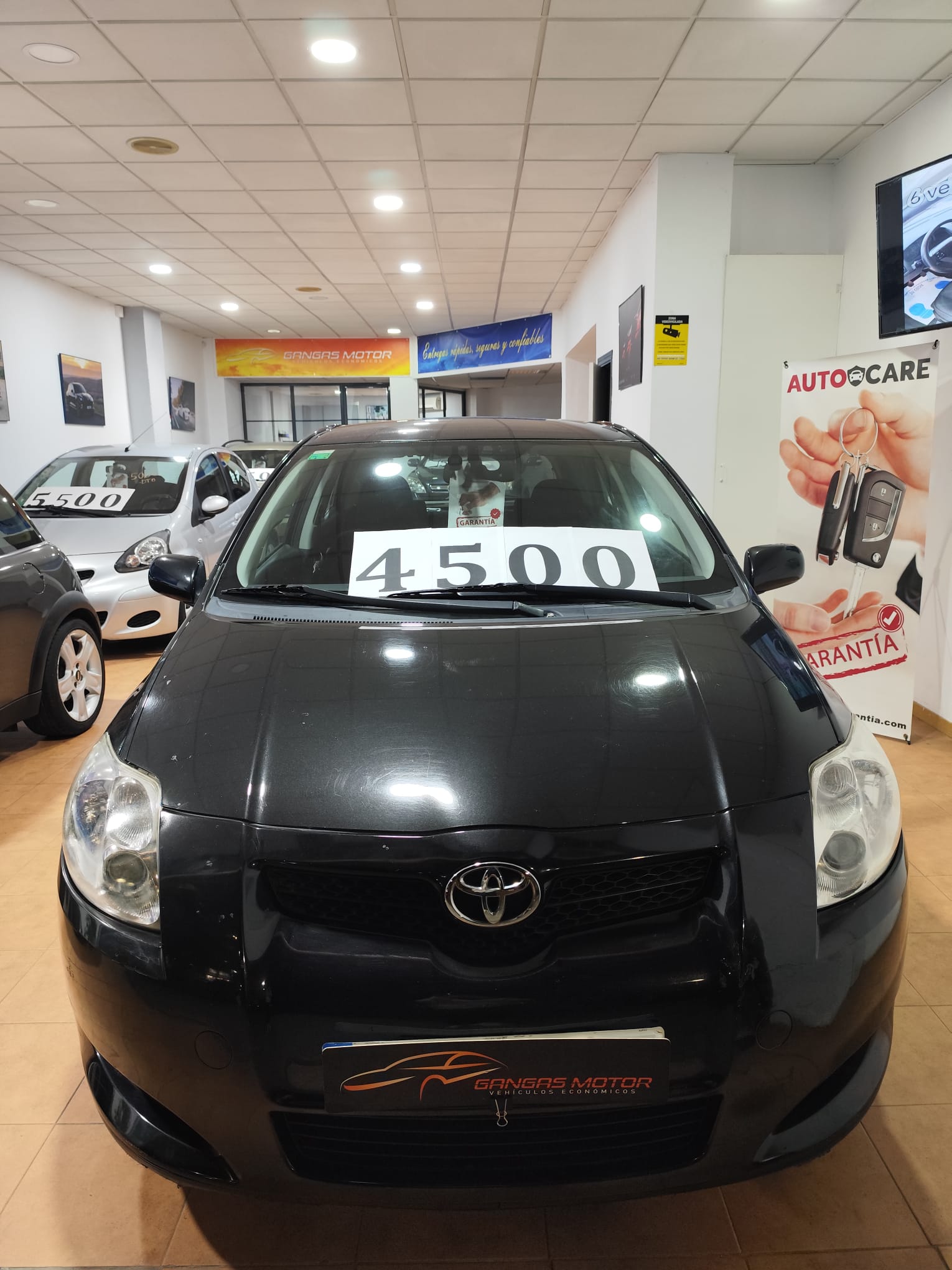 WhatsApp Image 2025-12-12 at 17.36.20