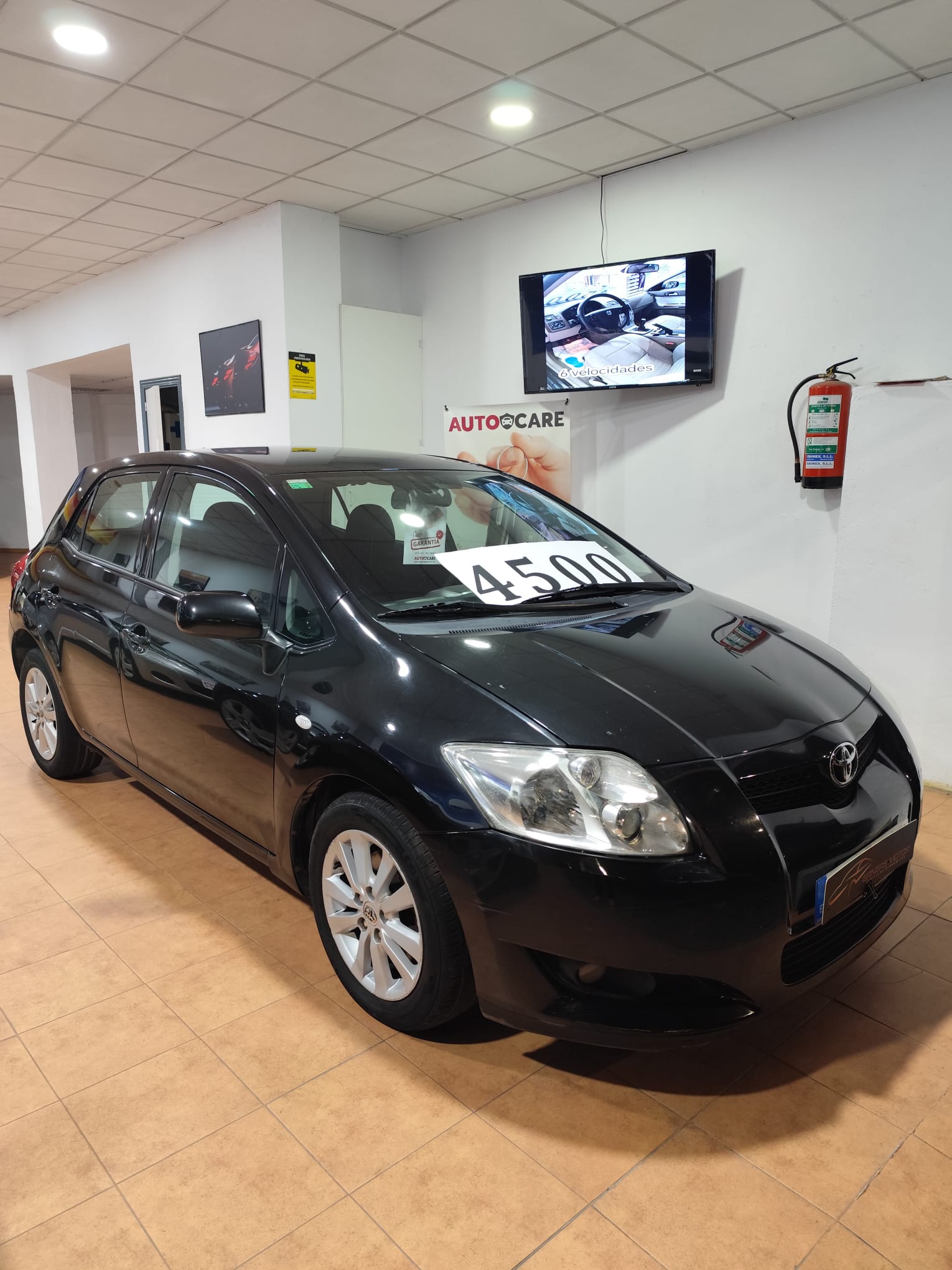 WhatsApp Image 2025-12-12 at 17.36.21