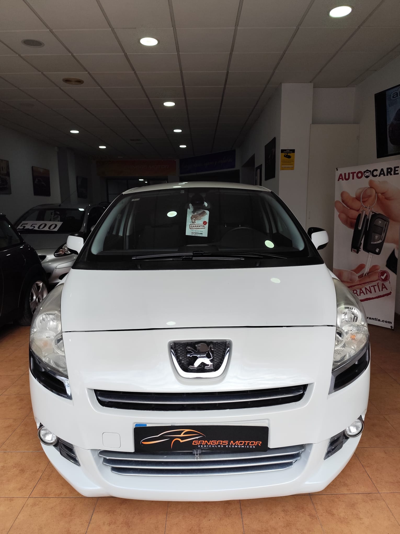 WhatsApp Image 2025-12-22 at 19.10.05 (1)