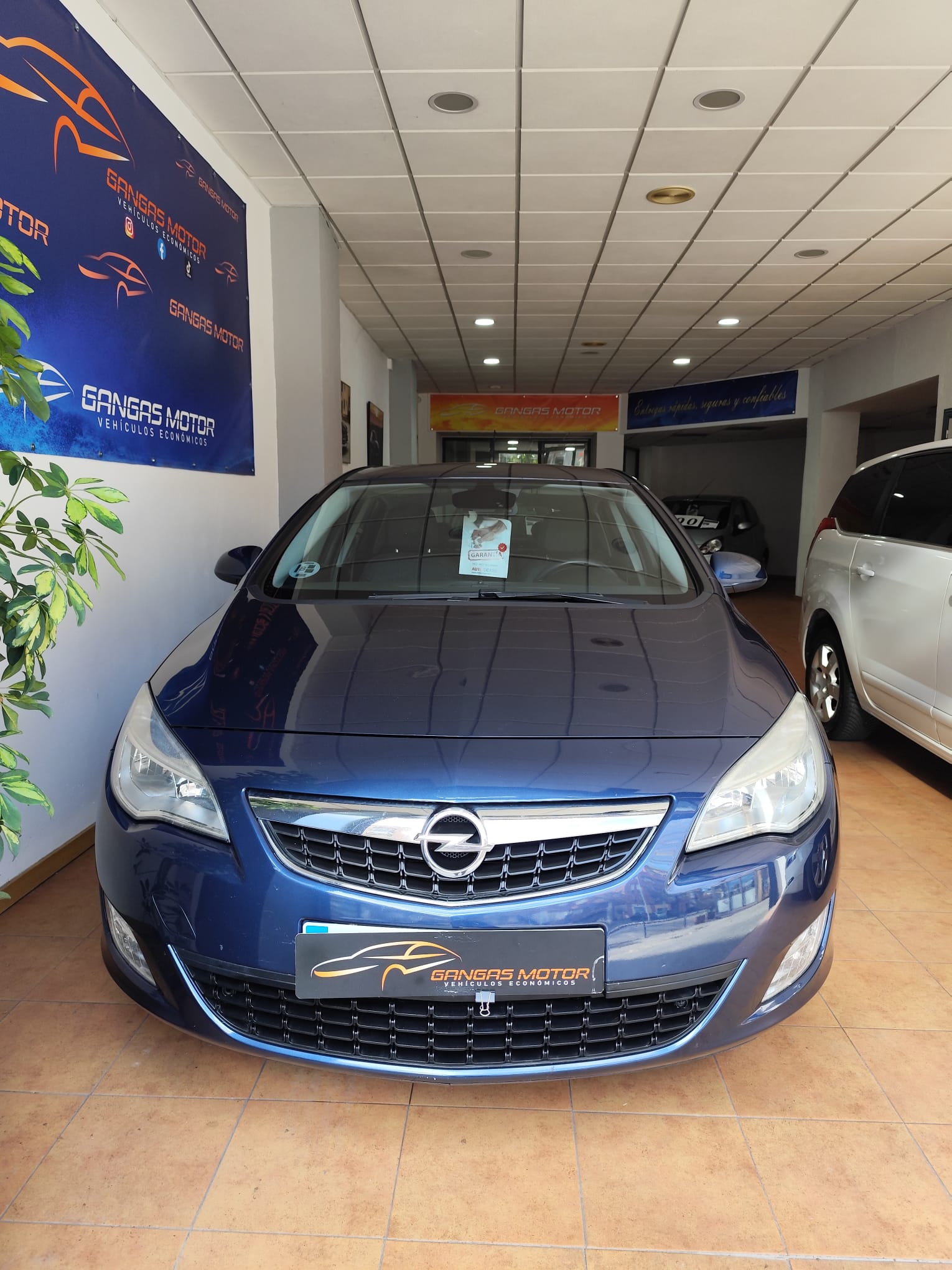 WhatsApp Image 2026-01-07 at 12.43.27 (1)