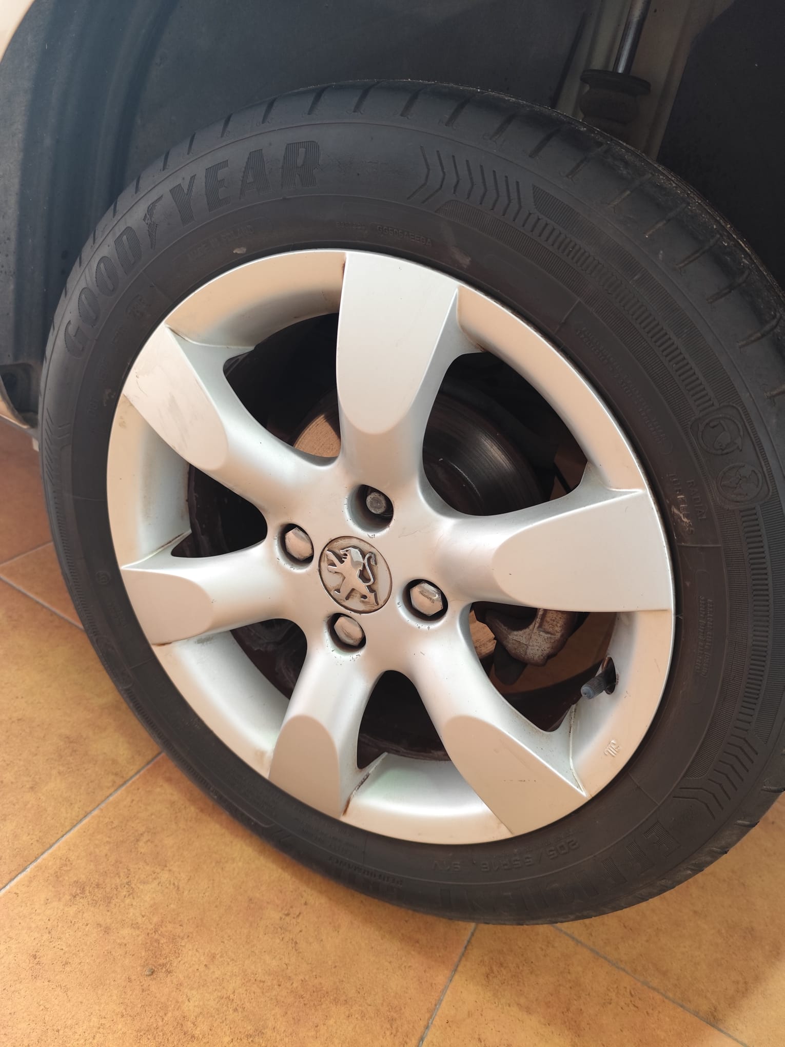 WhatsApp Image 2026-01-19 at 19.01.01 (3)