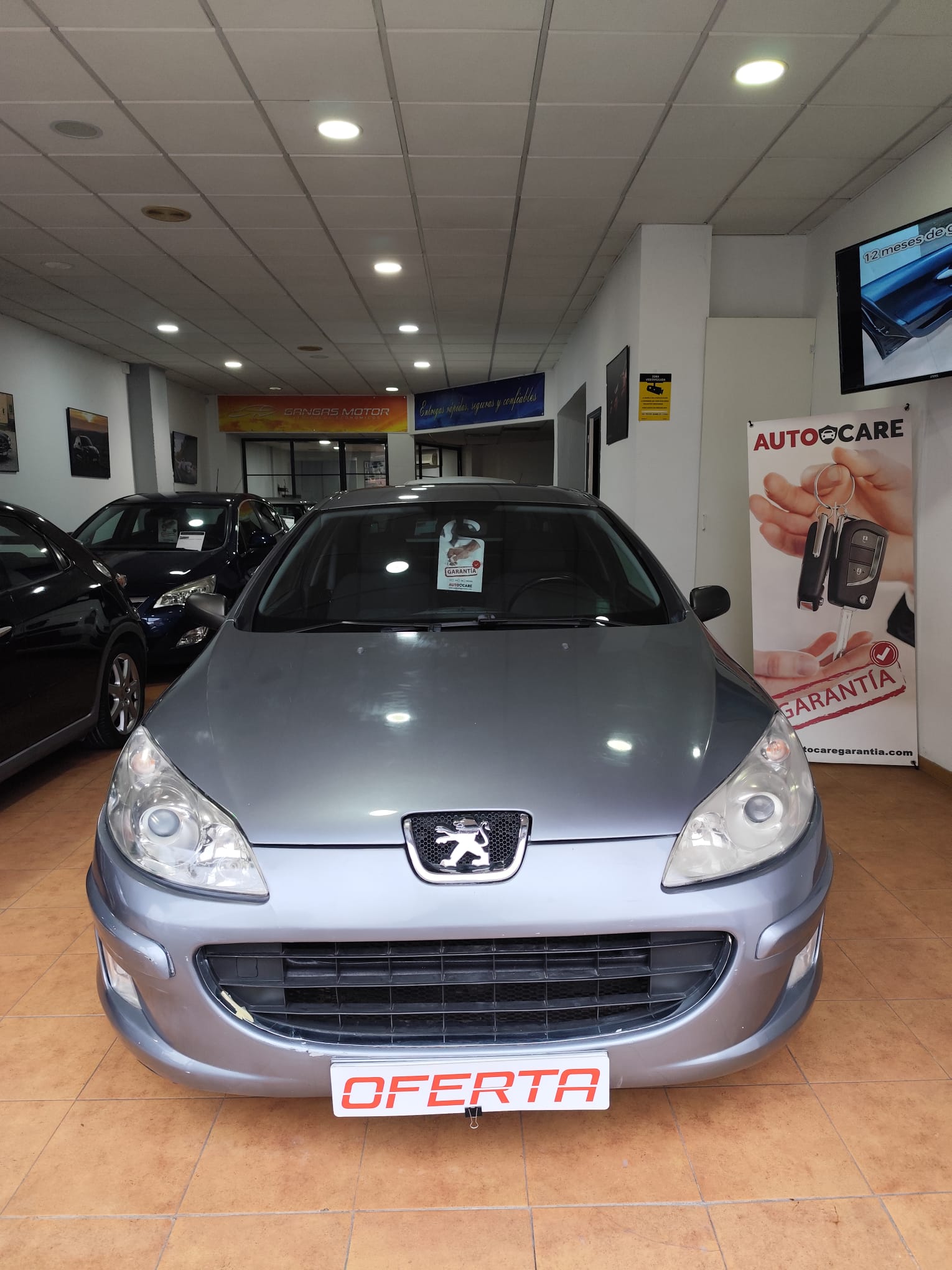 WhatsApp Image 2026-01-27 at 11.27.01