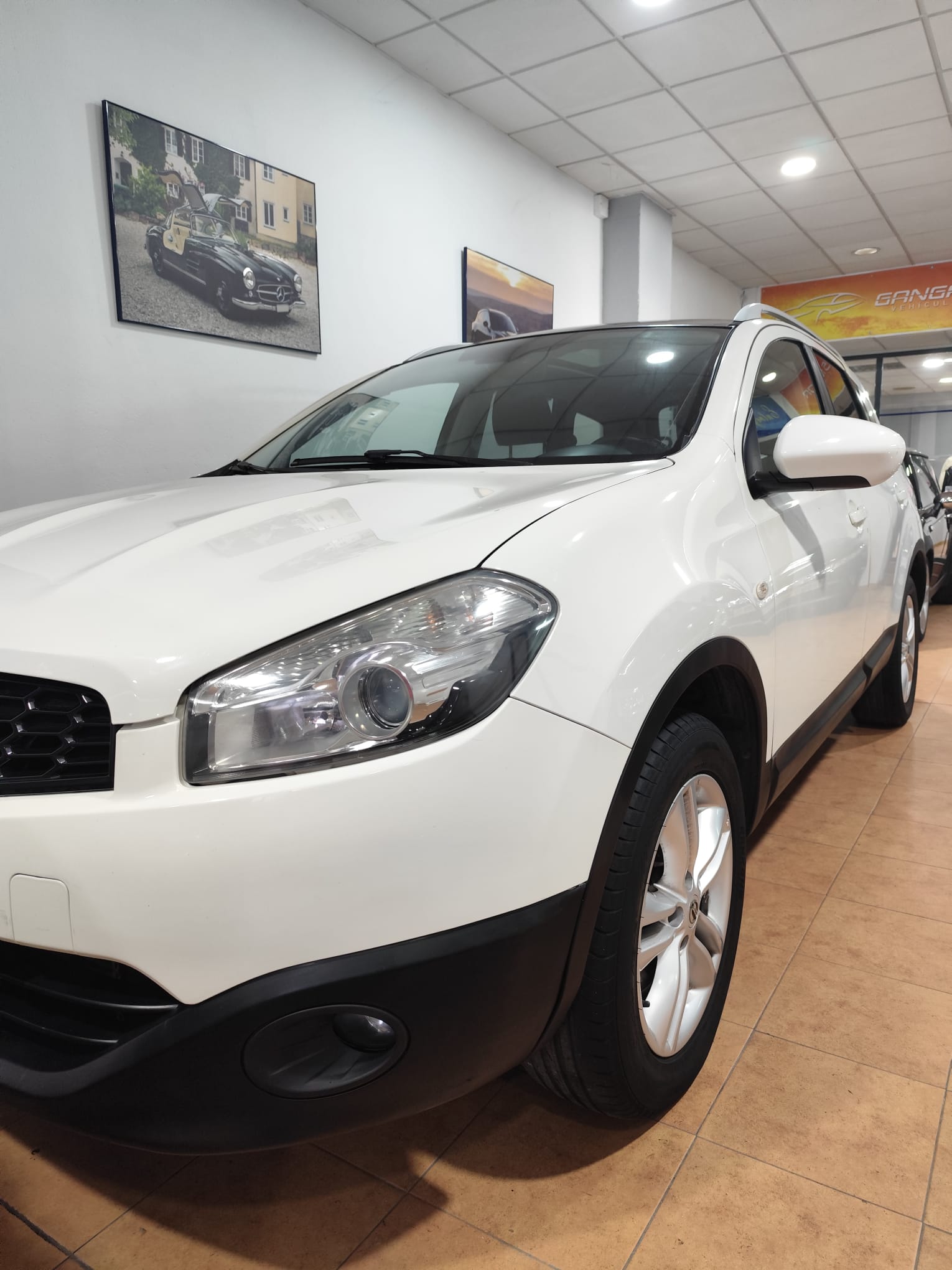 WhatsApp Image 2026-02-18 at 12.27.50